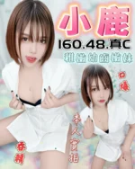 台中定點茶-小鹿/160/48/?/C