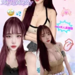 新北定點茶-月霄/148/42/22/D