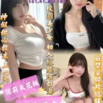 高雄定點茶-范中楚/151/41/18/D