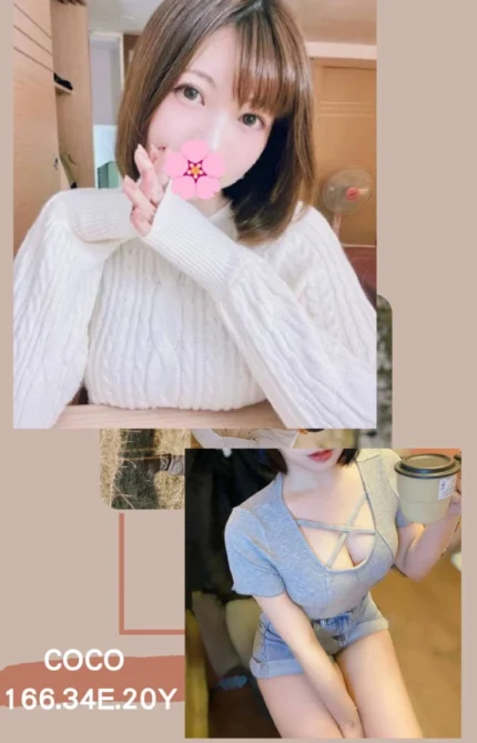 台北外送茶-COCO/166/?/20/E