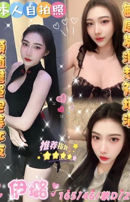 雲林定點茶-伊璐 /165/46/25/D