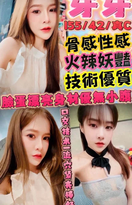 新竹定點茶-芽芽/155/42/?/C