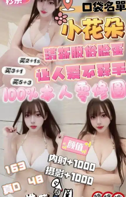 雲林定點茶-小花朵/163/48/?/D