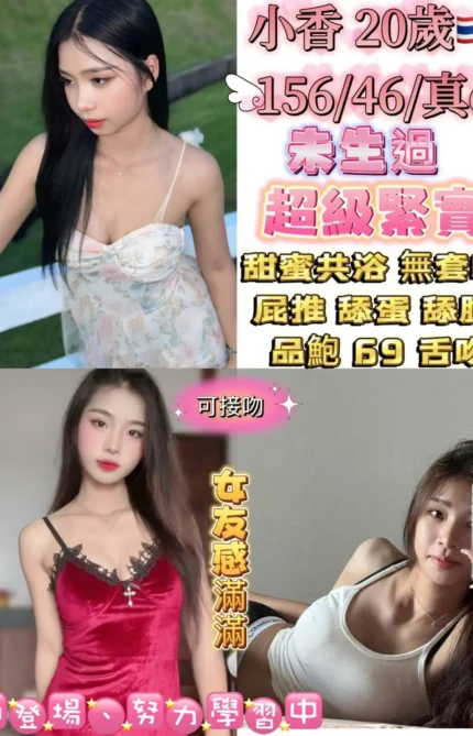 台北定點茶-小香/156/46/20/C