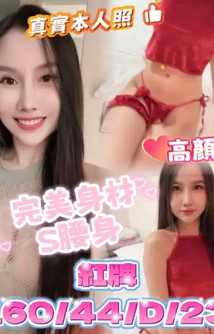 台中定點茶-紅牌/160/44/23/D