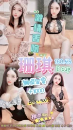 桃園定點茶-珊琪/160/45/20/E