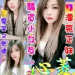 台中定點茶-心菱/160/48/25/B