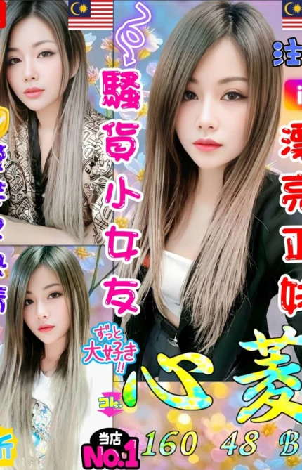 台中定點茶-心菱/160/48/25/B