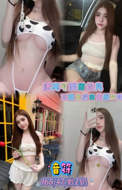 台北定點茶-音符/165/47/20/E