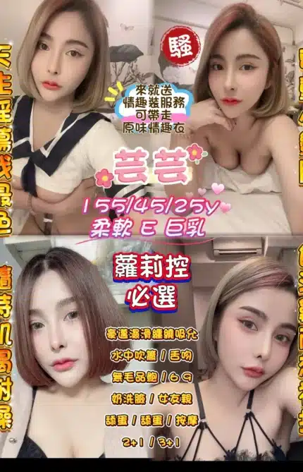 桃園定點茶-芸芸/155/45/25/E