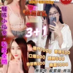 桃園定點茶-柔伊/165/49/23/E