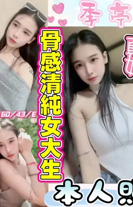 彰化定點茶-季亭/160/43/19/E