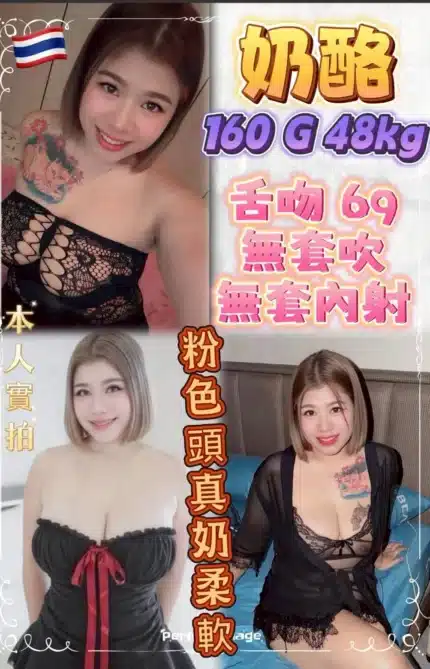 台北定點茶-奶酪/160/48/21/G