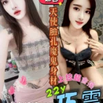 高雄定點茶-巧雲/160/48/22/D