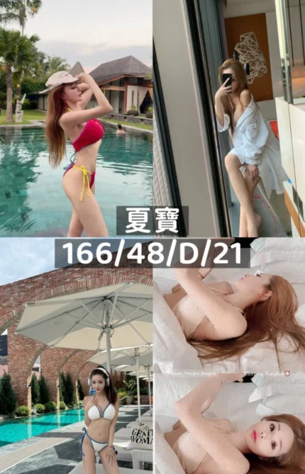 桃園外送茶-夏寶/166/48/21/D