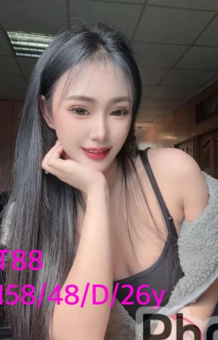 嘉義定點茶-T88/158/48/26/D