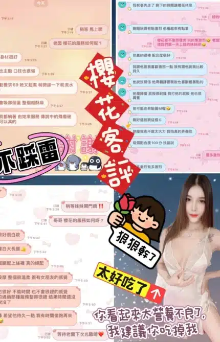 台北定點茶-櫻花/165/47/23/D