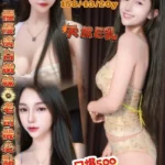 桃園定點茶-白穎/158/43/20/E