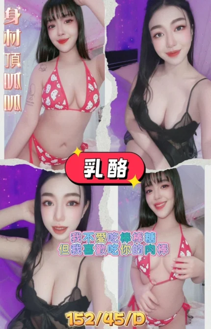 屏東外送茶-乳酪/152/45/?/D