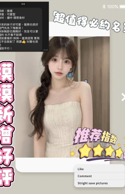 台南定點茶-摸摸/152/41/22/C