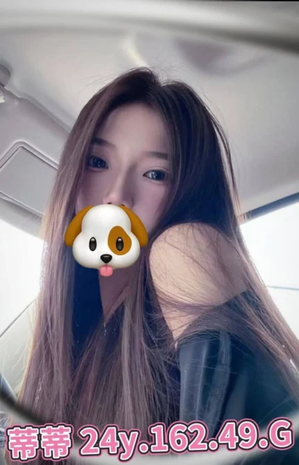 台北外送茶-蒂蒂/162/49/24/G