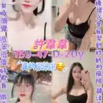 桃園定點茶-許韋韋/169/47/20/D