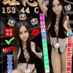 台中定點茶-虹芯/153/44/22/C