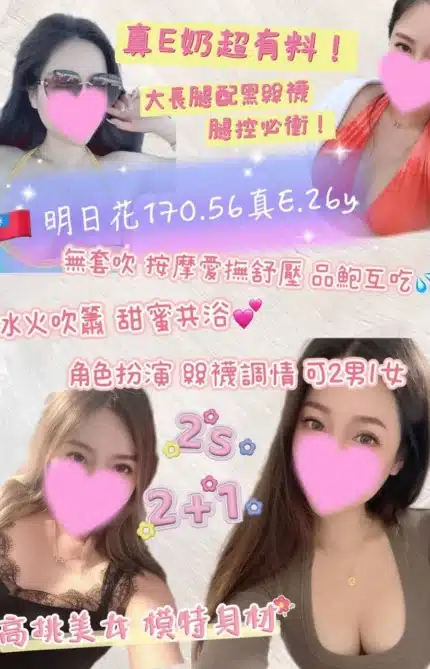 桃園定點茶-明日花/170/56/26/E