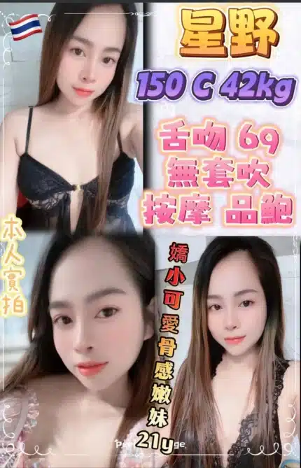 新北定點茶-星野/150/42/21/C