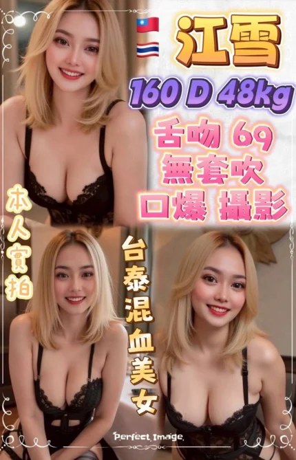 新北定點茶-江雪/160/48/24/D