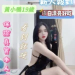 台南定點茶-黃小鴨/165/48/19/D