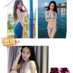 台南定點茶-晏柔/164/43/22/D