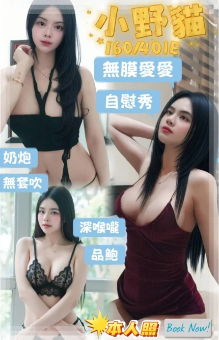 屏東定點茶-小野貓/158/40/20/E