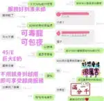台中定點茶-YuYu/155/45/18/E