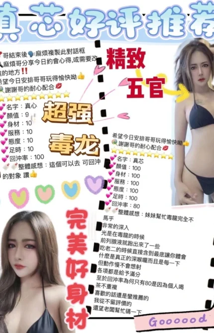 桃園定點茶-真芯/160/40/?/D