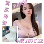 台北外送茶-小愛/160/?/22/E