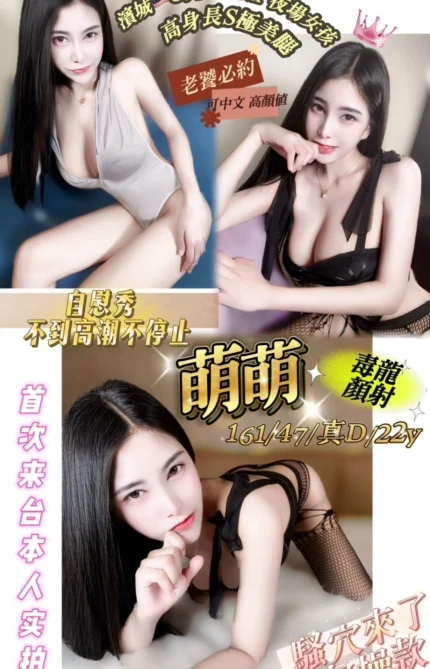 台中定點茶-萌萌/161/47/22/D