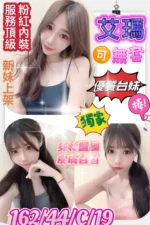 台南定點茶-艾瑪/162/44/19/C