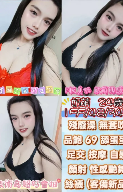 雲林定點茶-奶萌/155/48/24/F