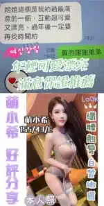 台中定點茶-萌小希/155/43/22/E