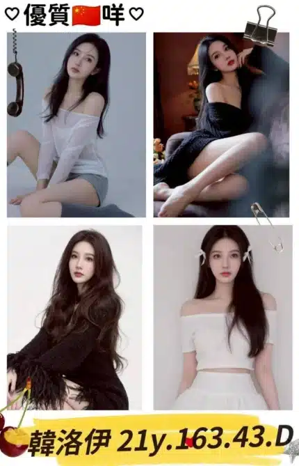 台北外送茶-韓洛伊/163/43/21/D