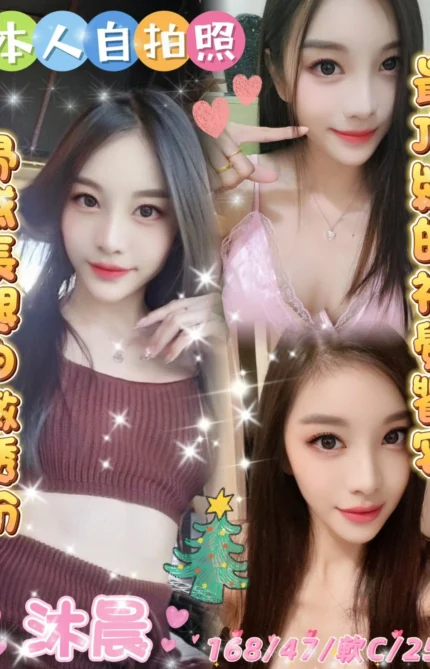 雲林定點茶-沐晨/168/47/25/C