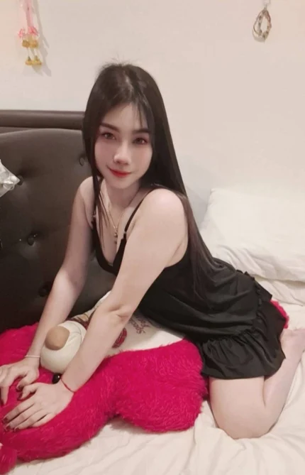 屏東外送茶-天鵝/157/50/?/D