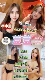 桃園定點茶-荳荳/164/43/23/C