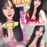 南投定點茶-蓓琳/155/40/24/E