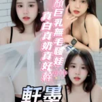 南投定點茶-軒墨/160/48/?/D