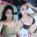 嘉義定點茶-蘇沐月/162/45/25/D