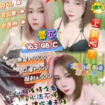 新北定點茶-蕓芯/163/48/?/C