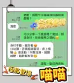 台中定點茶-喵喵/155/43/19/C