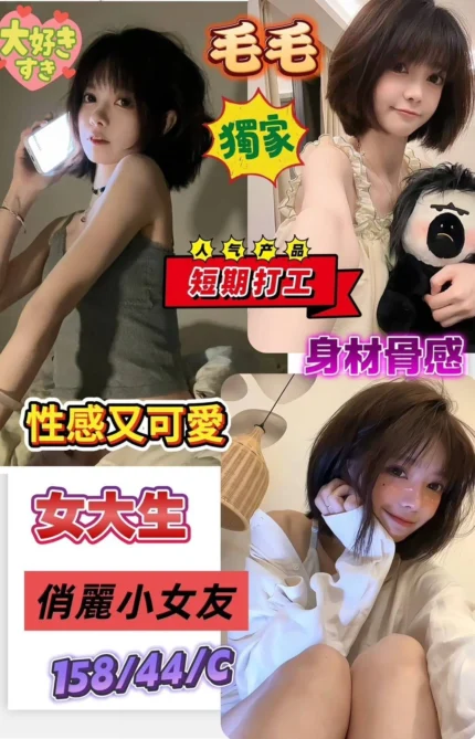 台南定點茶-毛毛/158/44/?/C